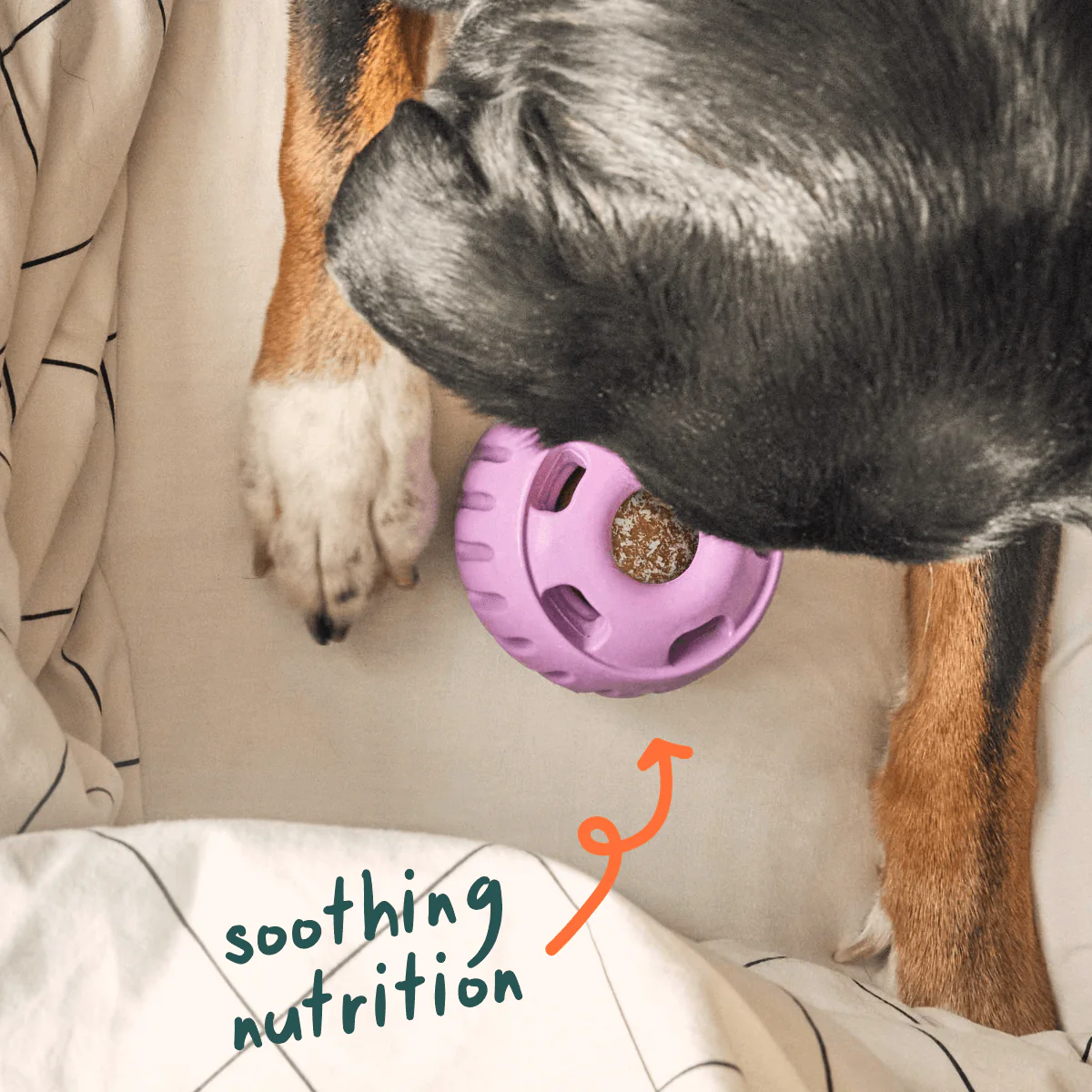 Calming Wellness Pops - Image 4