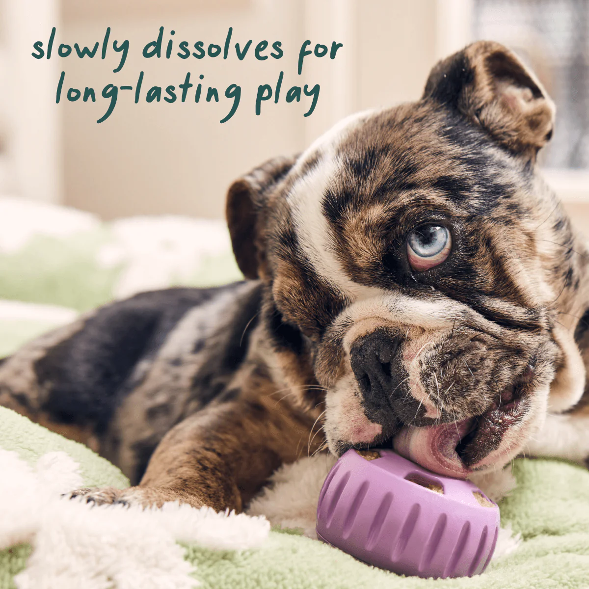 Calming Wellness Pops - Image 5