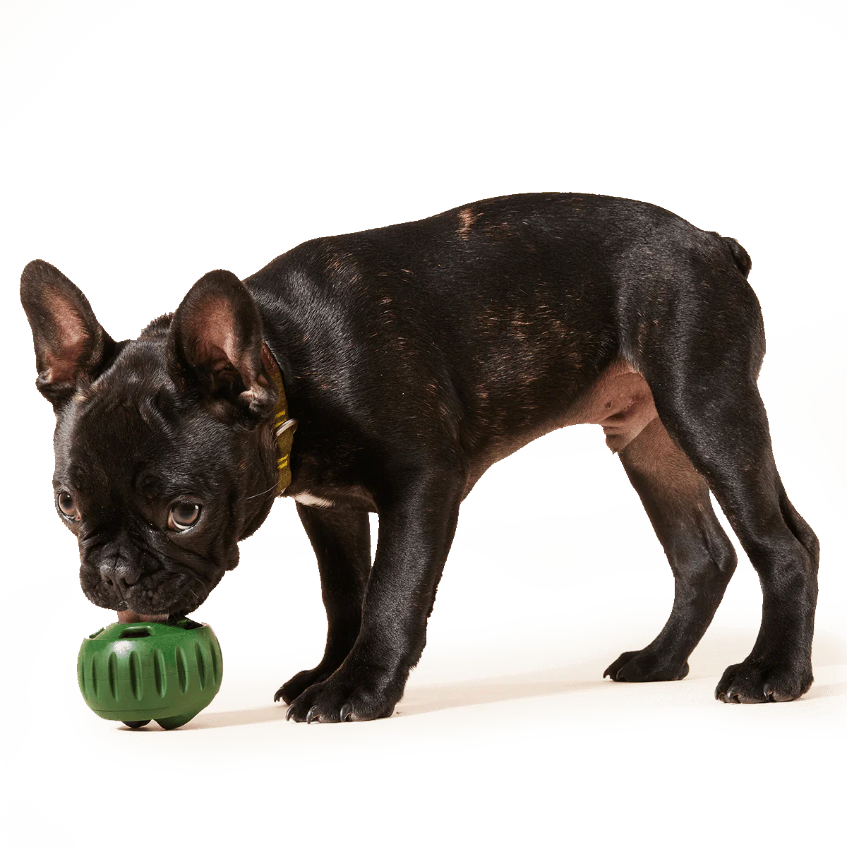 Chicken Pops: 2 Pack - Image 3