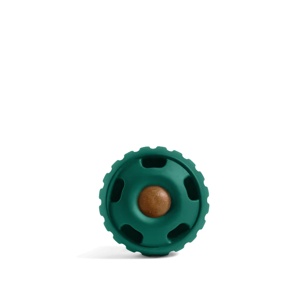 SHOP APP Daily Enrichment